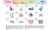 CADSNP04_pattern-list-1.webp