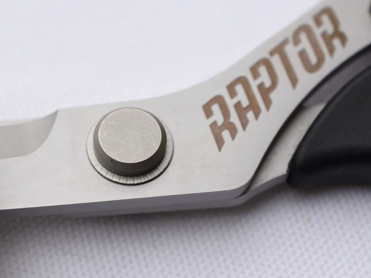 raptor_8_2.jpg