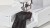 ft-free-arm.jpg